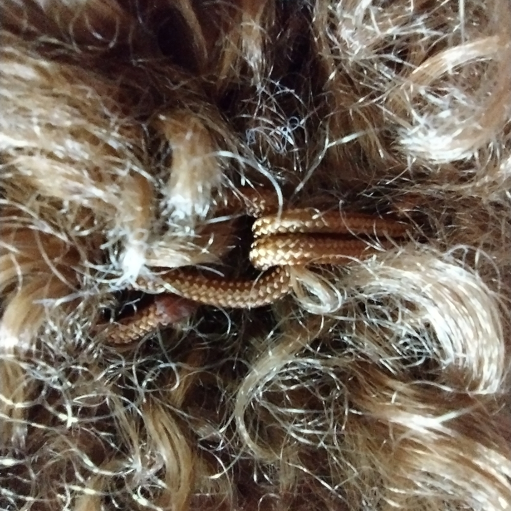 ZARA | Faux Fur Curly Sherpa Brown Lapel Jacket | Women's Small - Picture 13 of 15